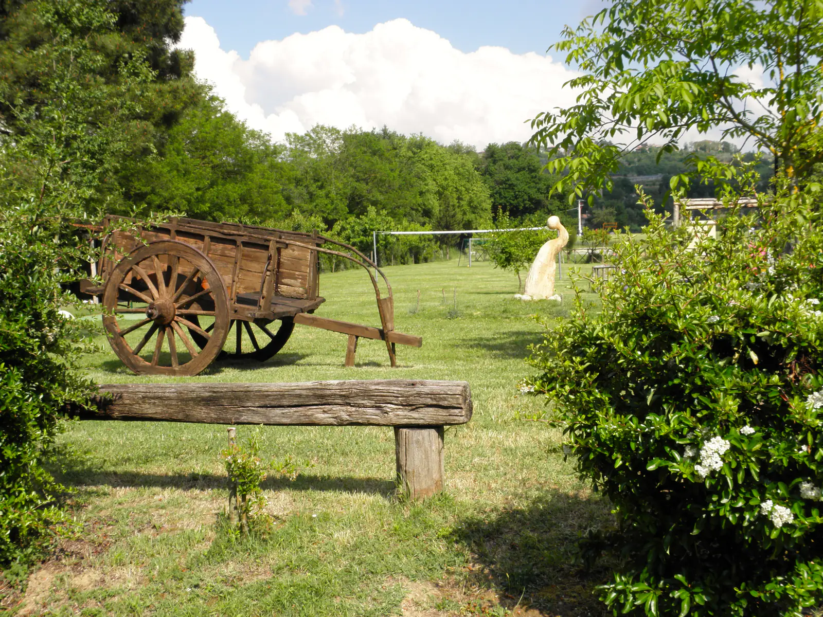 Parco e giardini