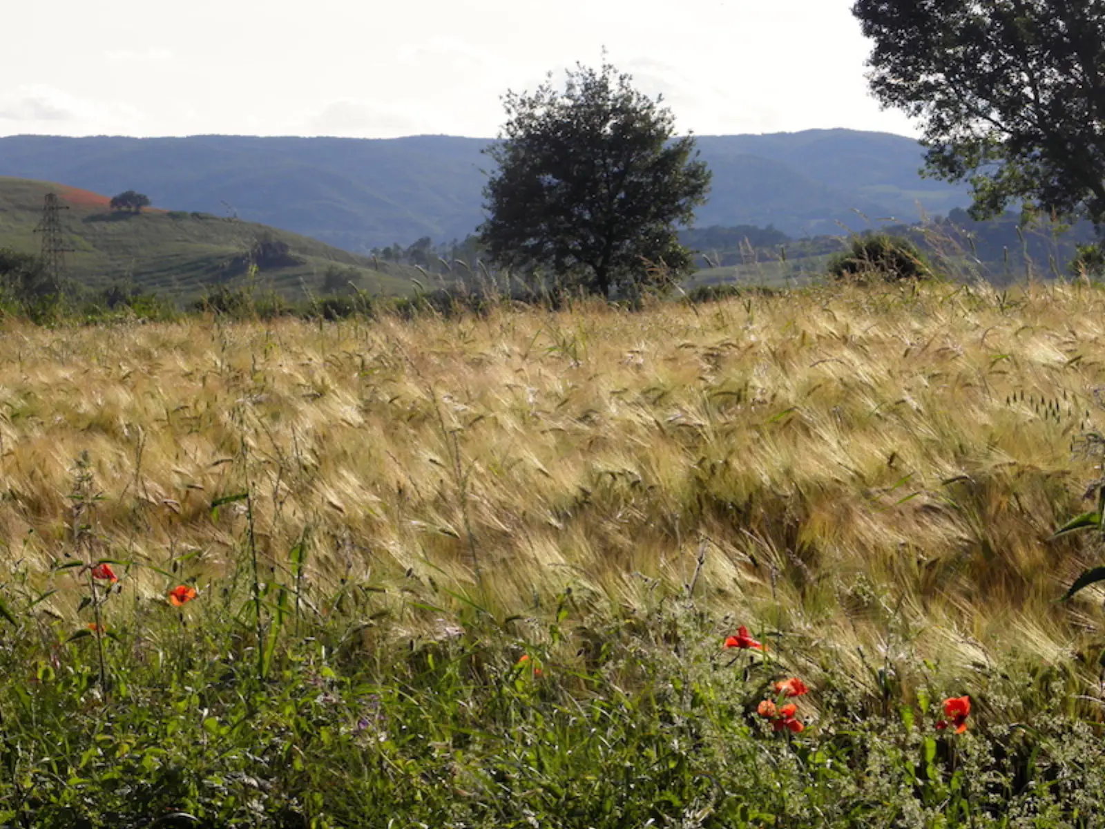 Borgo · scorci e dettagli