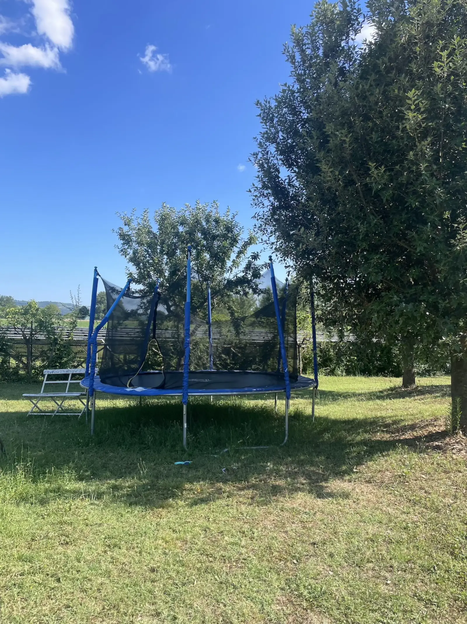 Sport · campo, bocce, calistenici