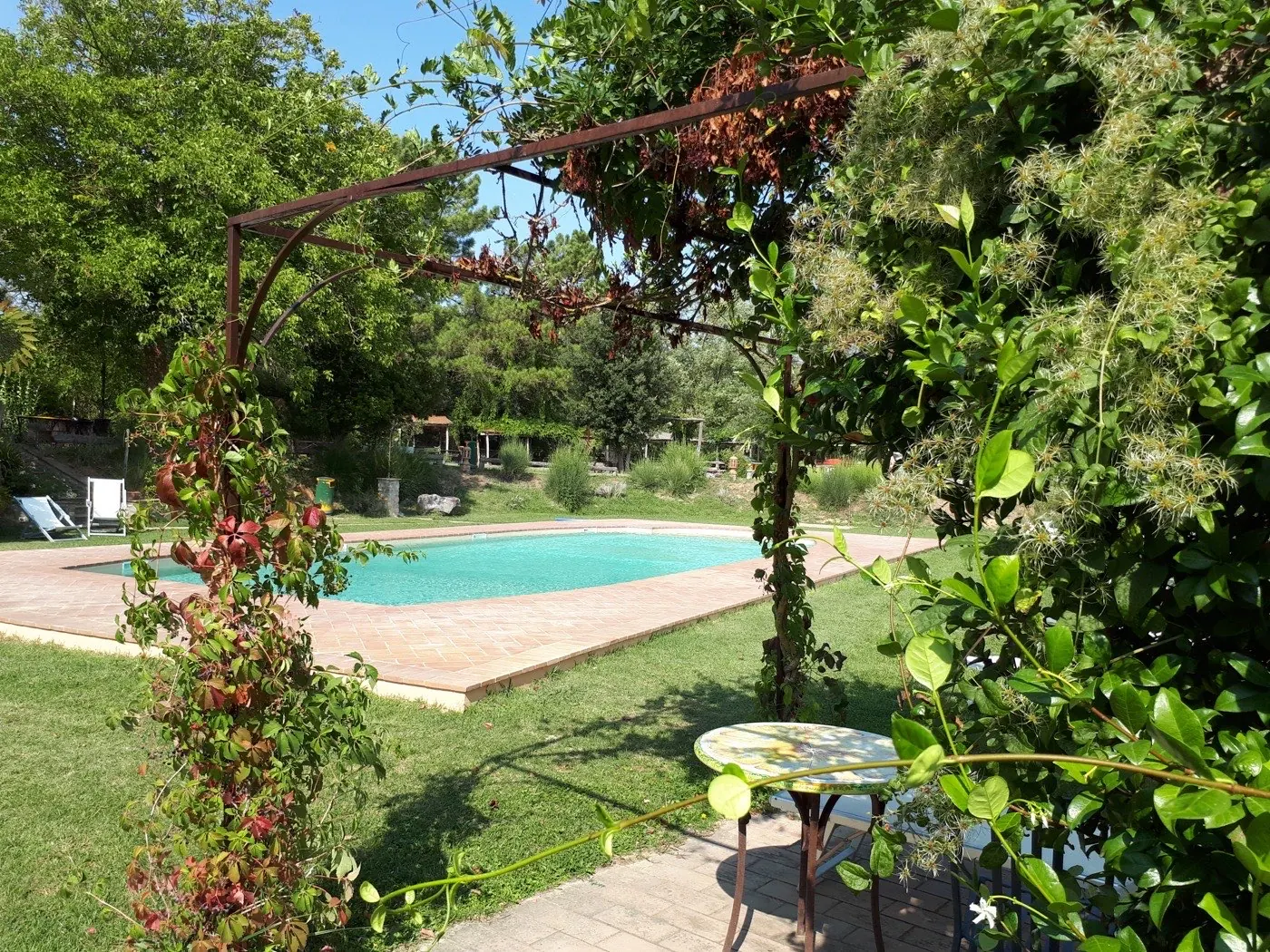 Sommer · Pool